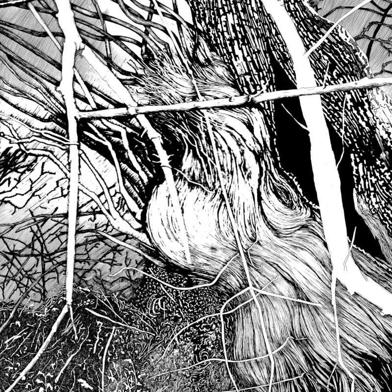 Reichmann_Ute_artwork_800